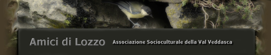 Amici di Lozzo