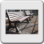 panchine del pum
