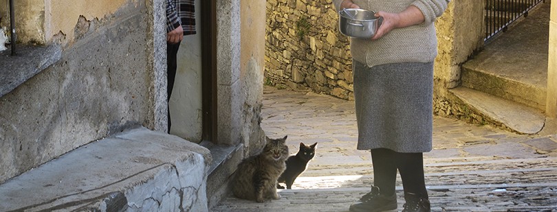 sulla via